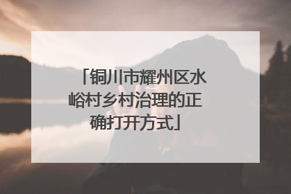 铜川市耀州区水峪村乡村治理的正确打开方式